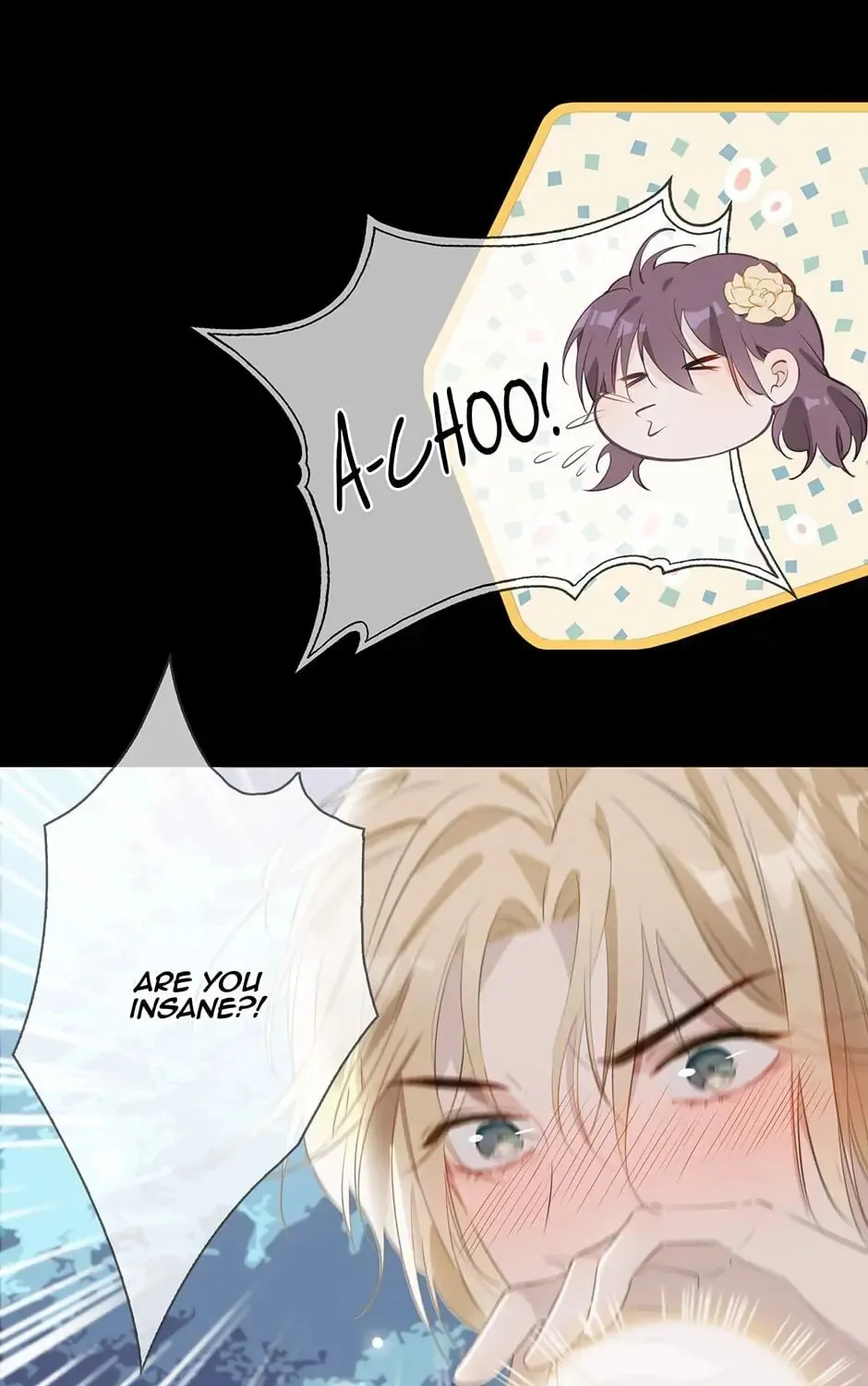 The Royal Prince