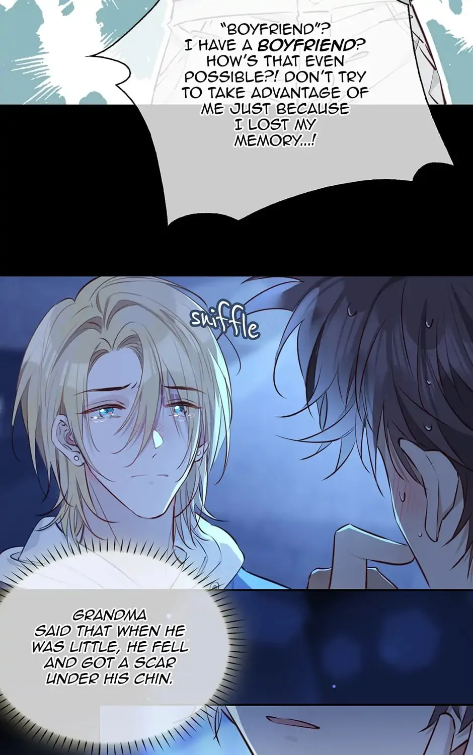 The Royal Prince