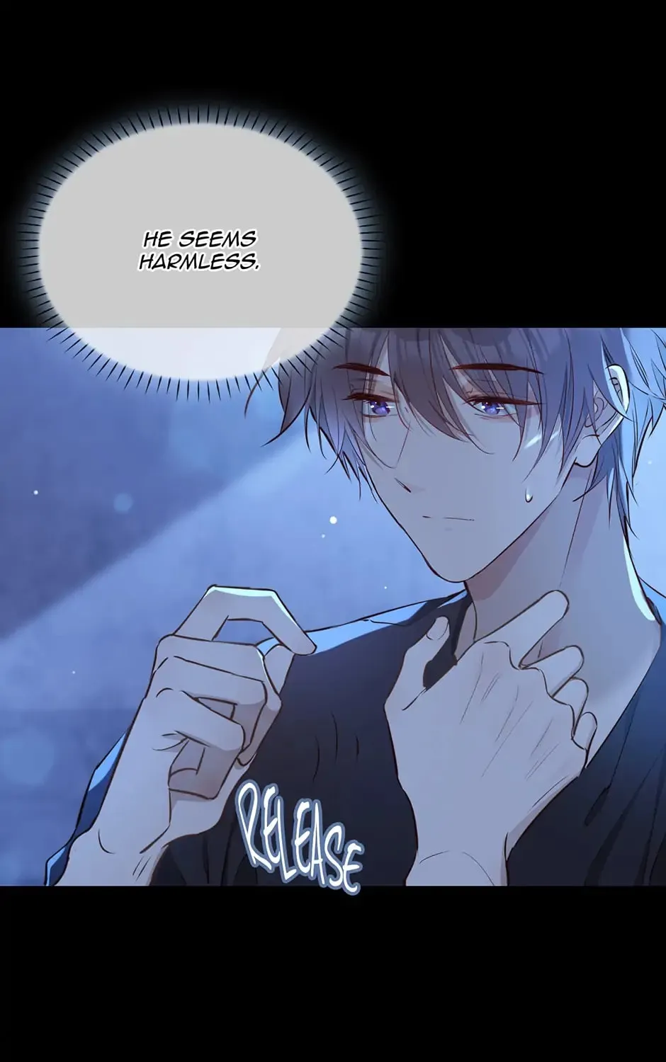 The Royal Prince