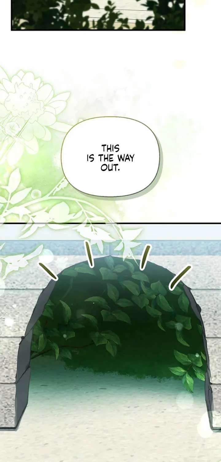 The Runaway Countess Has Returned Chapter 17 page 24 - 