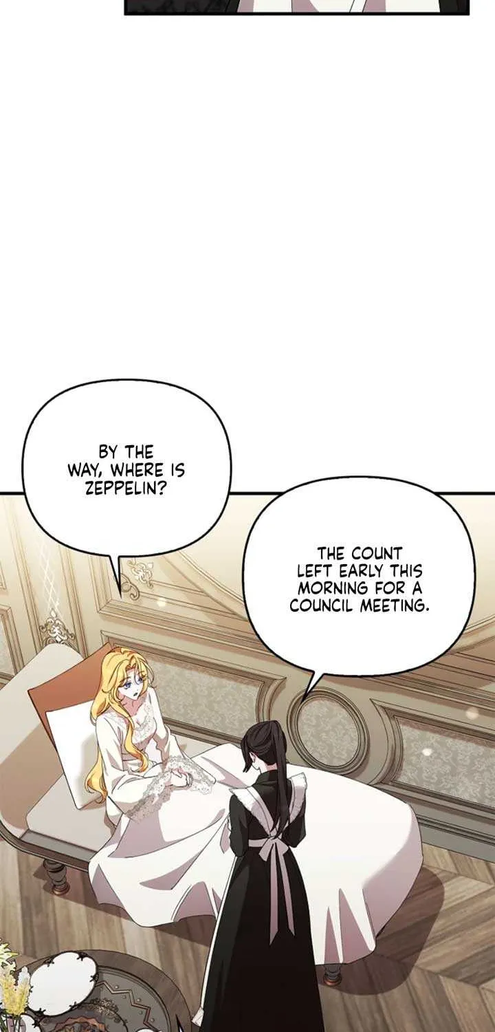 The Runaway Countess Has Returned Chapter 17 page 5 - 
