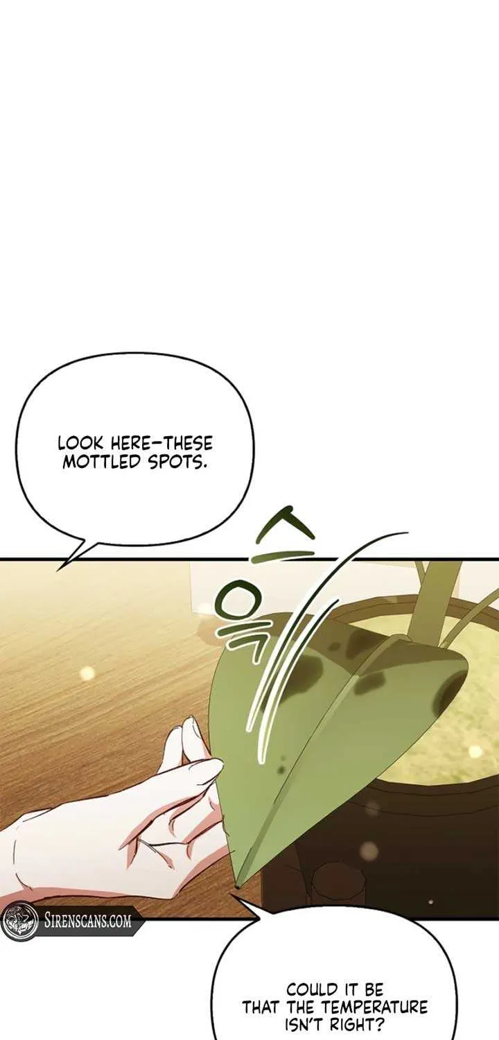 The Runaway Countess Has Returned Chapter 17 page 77 - 