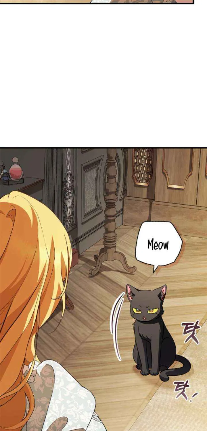 The Runaway Countess Has Returned Chapter 27 page 60 - 