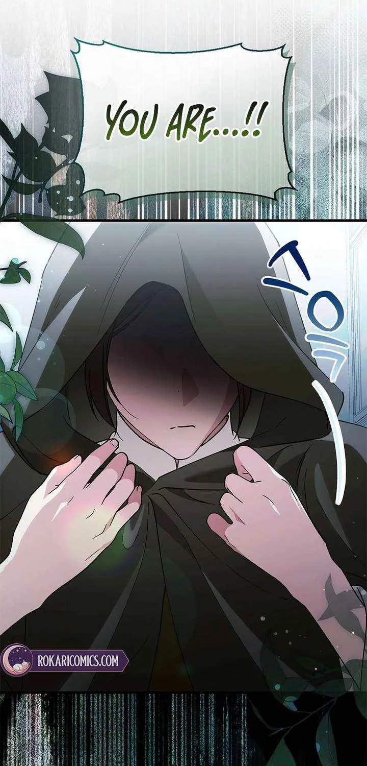 The Runaway Countess Has Returned Chapter 29 page 44 - 