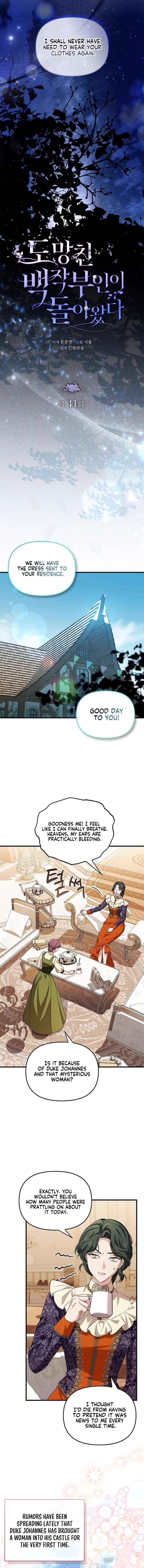 The Runaway Countess Has Returned Chapter 41 page 11 - 