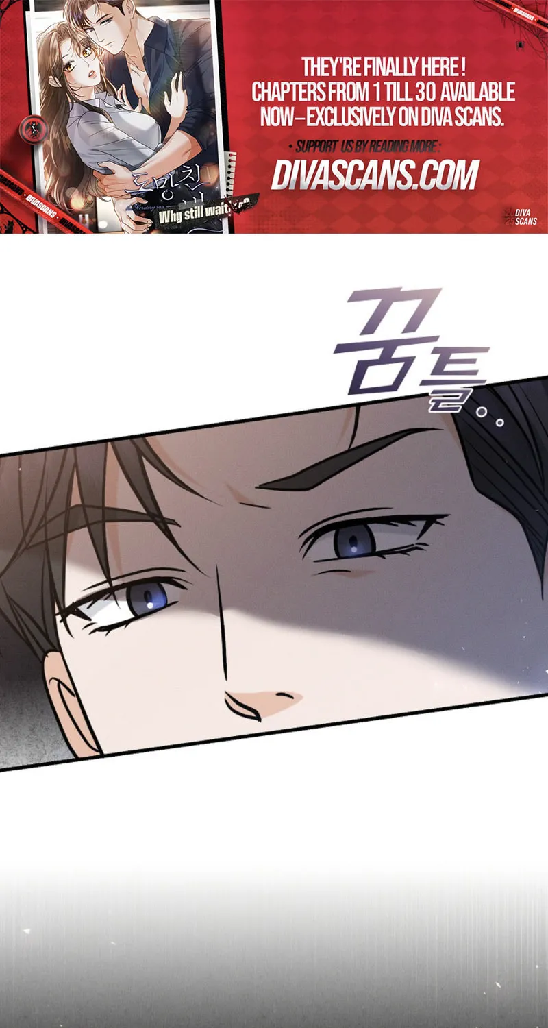 The Runaway Secretary Chapter 12 page 30 - 
