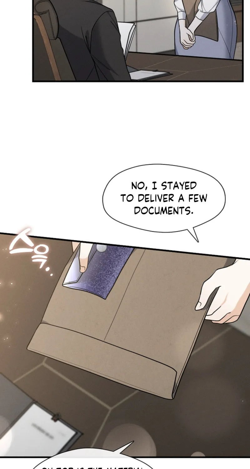 The Runaway Secretary Chapter 12 page 46 - 
