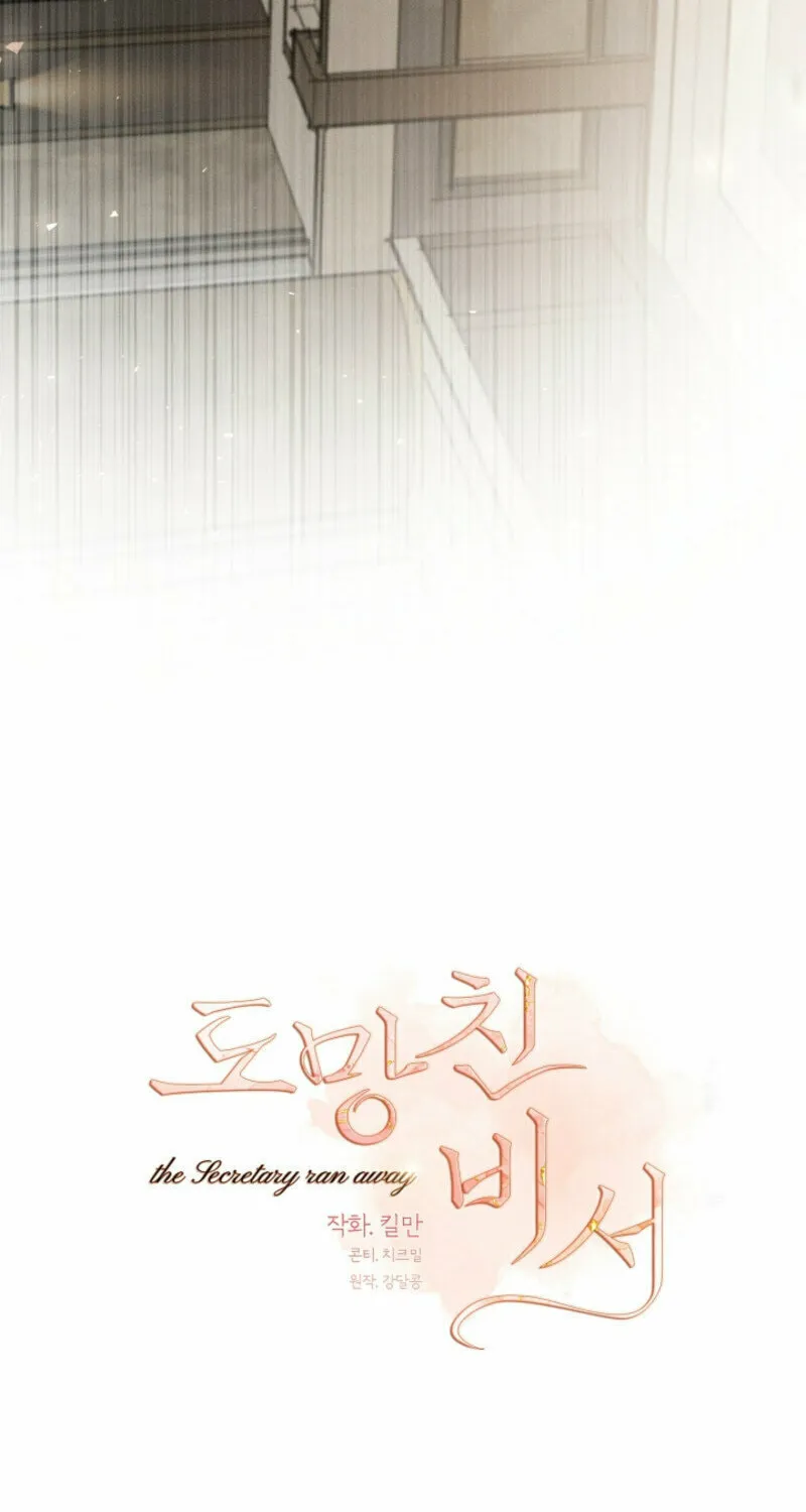 The Runaway Secretary Chapter 14 page 43 - 