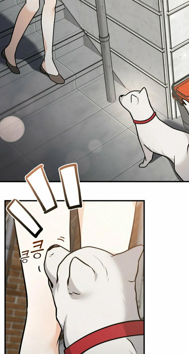 The Runaway Secretary Chapter 15 page 24 - 