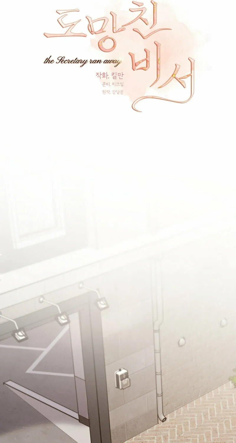 The Runaway Secretary Chapter 18 page 29 - 
