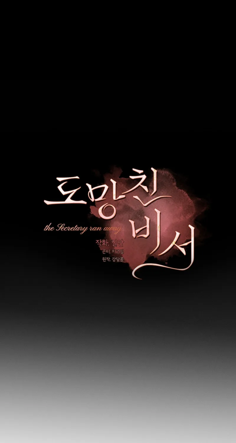 The Runaway Secretary Chapter 20 page 20 - 