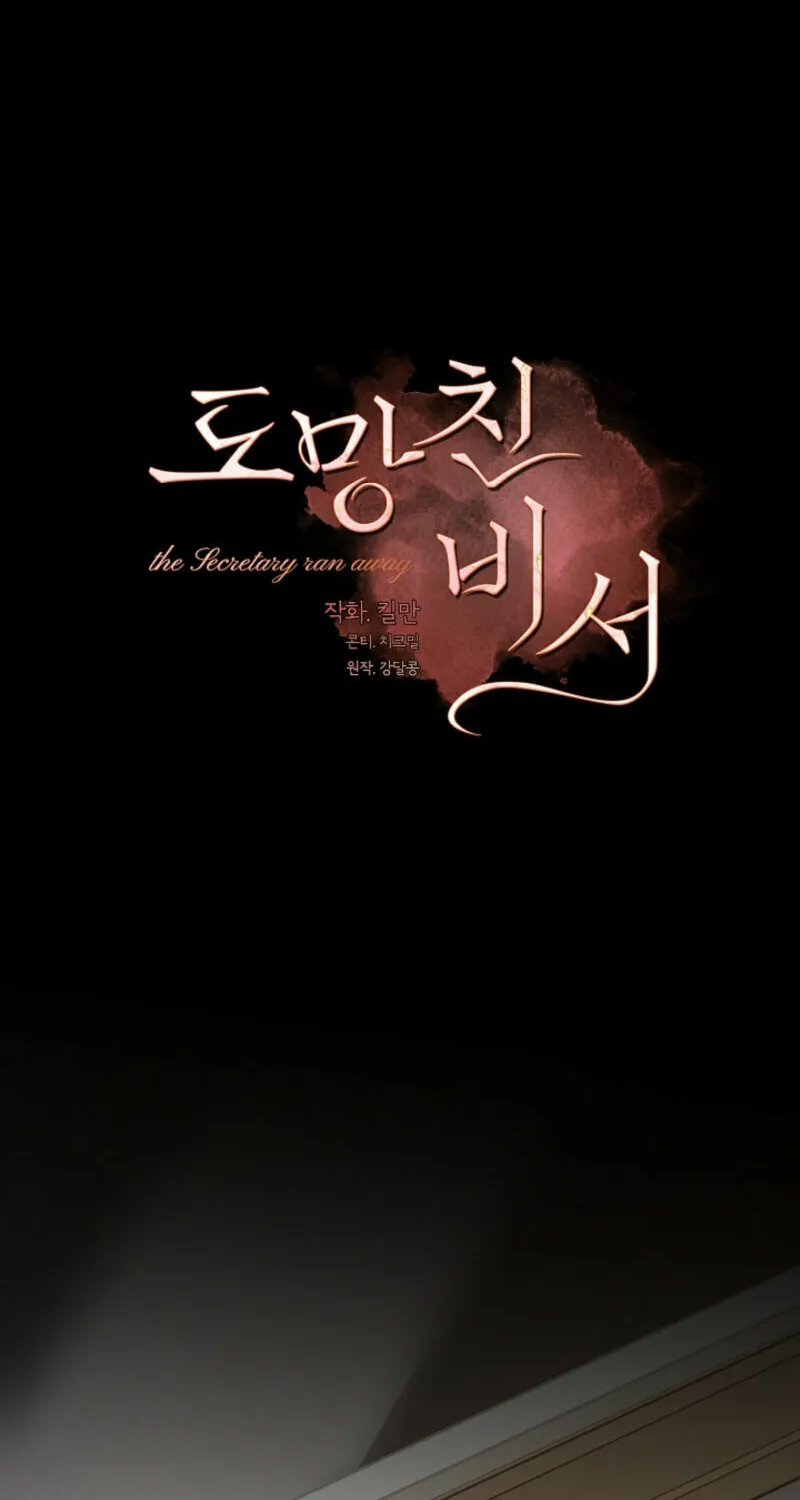 The Runaway Secretary Chapter 23 page 45 - 