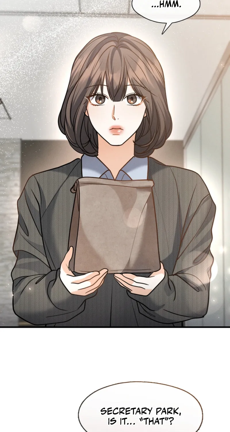 The Runaway Secretary Chapter 26 page 41 - 