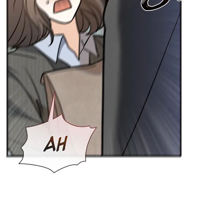 The Runaway Secretary Chapter 26 page 45 - 