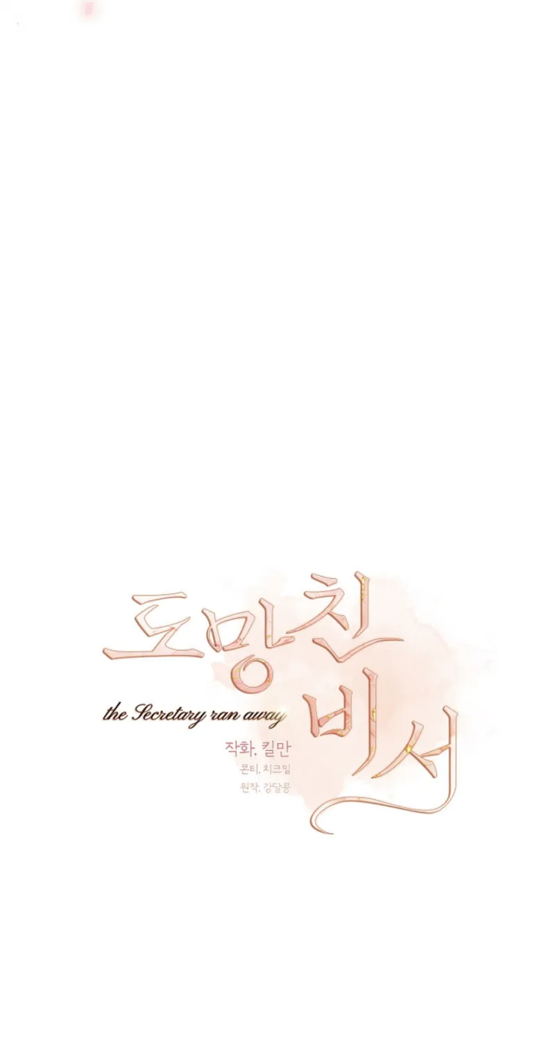 The Runaway Secretary Chapter 3 page 28 - 