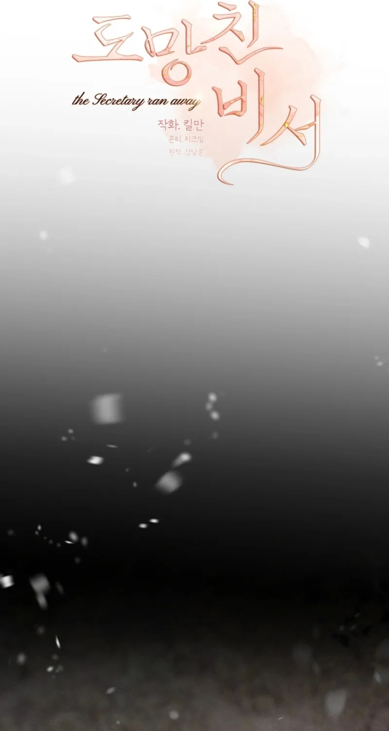 The Runaway Secretary Chapter 32 page 10 - 
