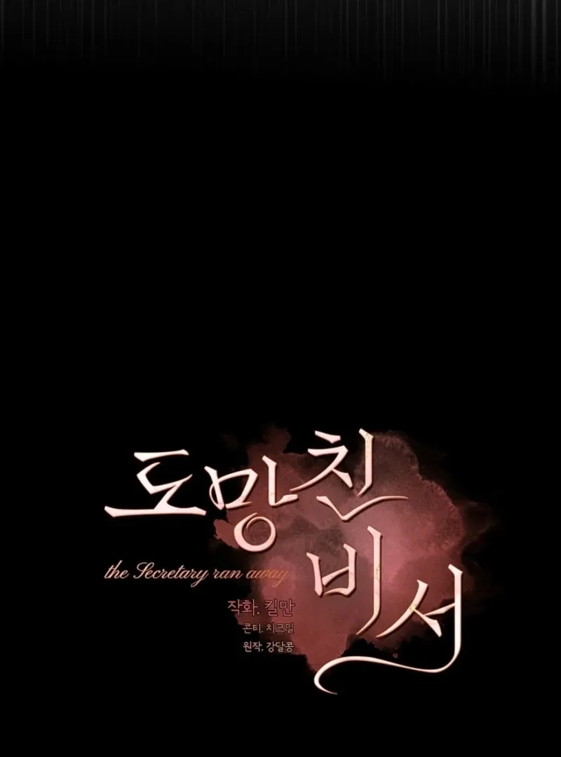 The Runaway Secretary Chapter 38 page 41 - 