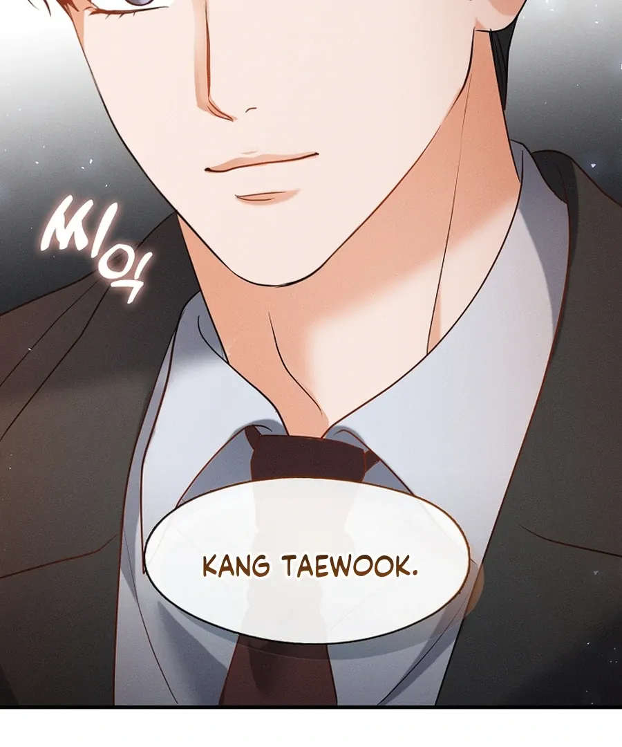 The Runaway Secretary Chapter 42 page 71 - 