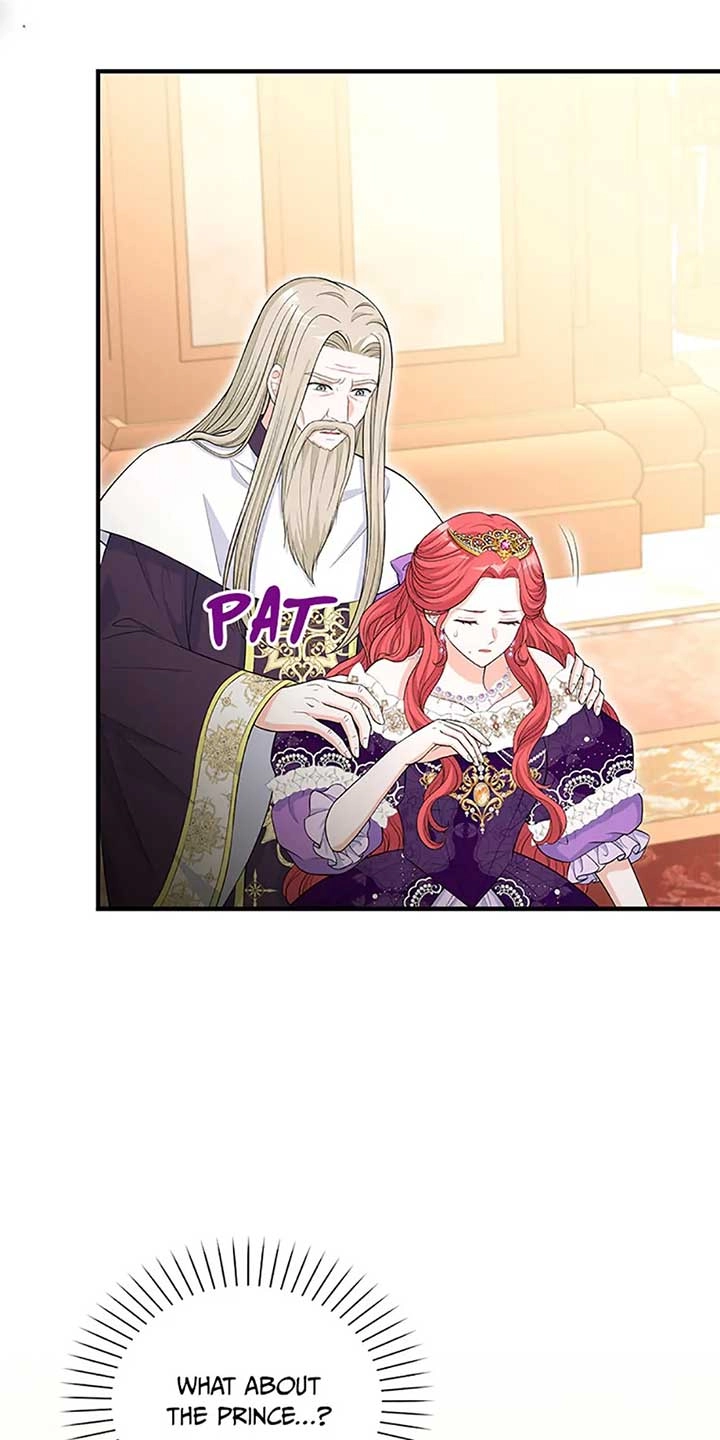 The S-Class Baby Princess Is Too Powerful Chapter 36 page 25 - 