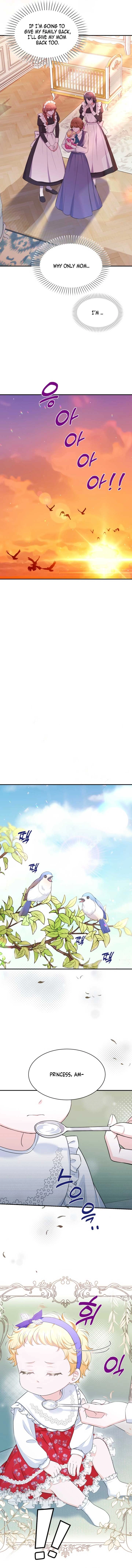 The S-Class Baby Princess Is Too Powerful Chapter 5 page 6 - 