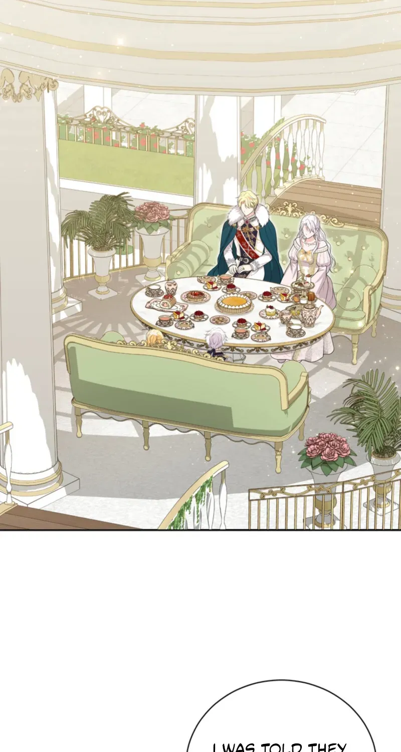 The S-Class Baby Princess Is Too Powerful Chapter 61 page 24 - 