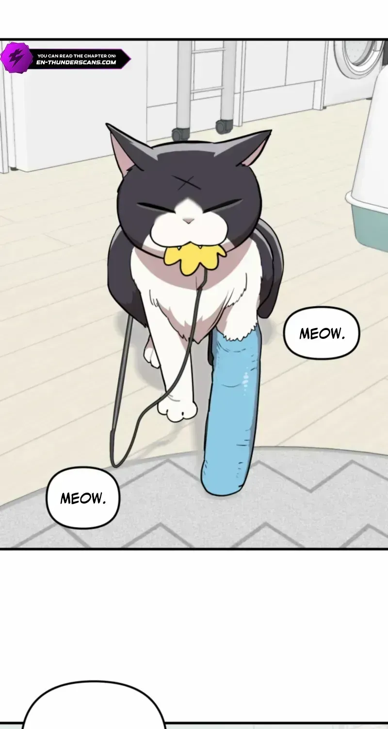 The S-Class Butler Chapter 0.3 page 34 - 