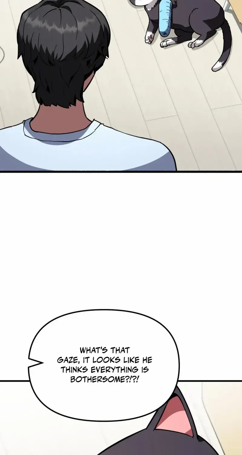 The S-Class Butler Chapter 11 page 15 - 