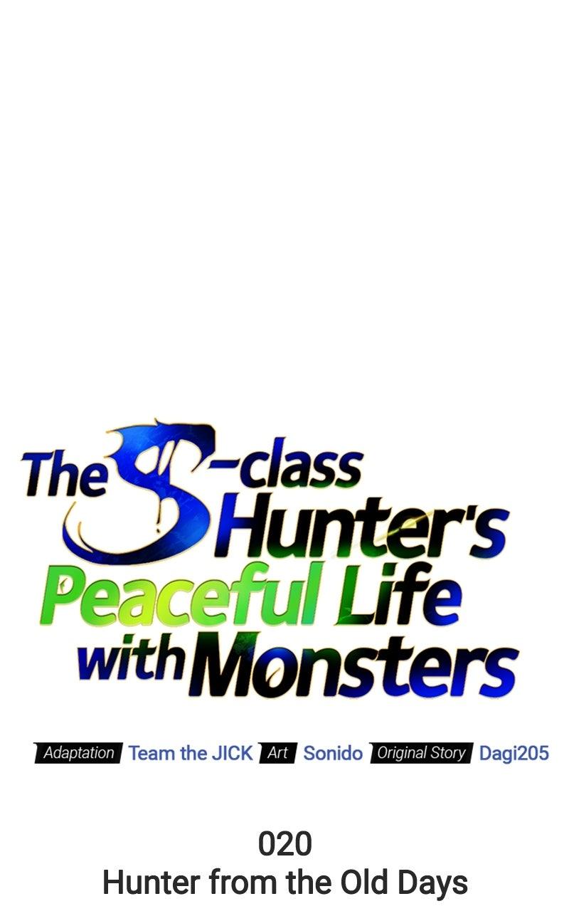 The S-Class Hunter