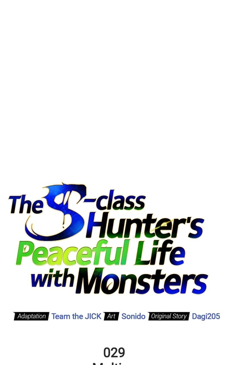 The S-Class Hunter