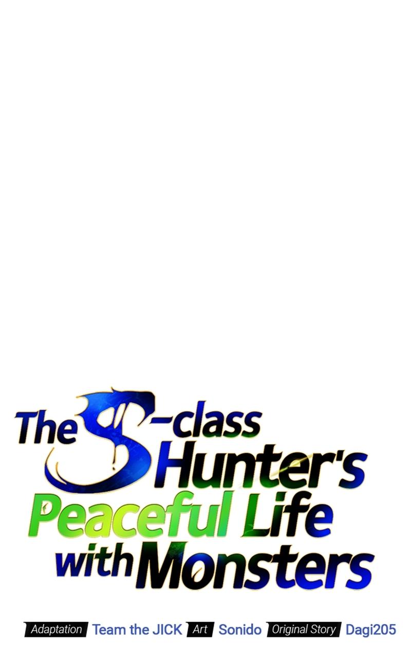 The S-Class Hunter