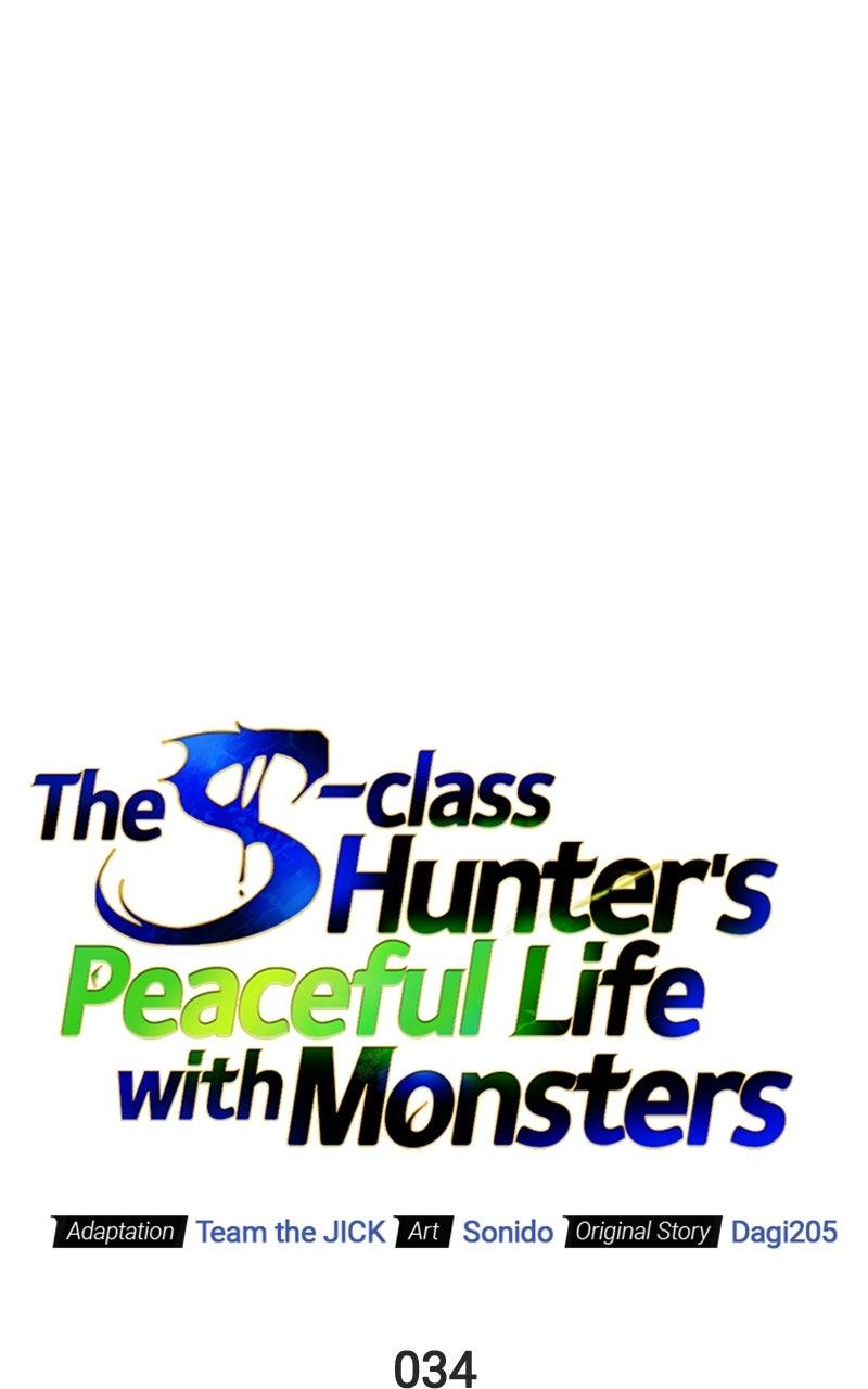 The S-Class Hunter