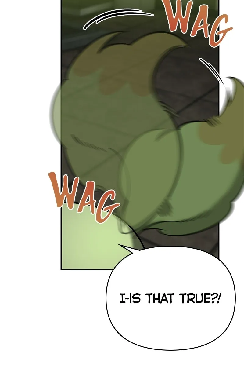 The S-Class Hunter’s Peaceful Life with Monsters Chapter 22 page 66 - 