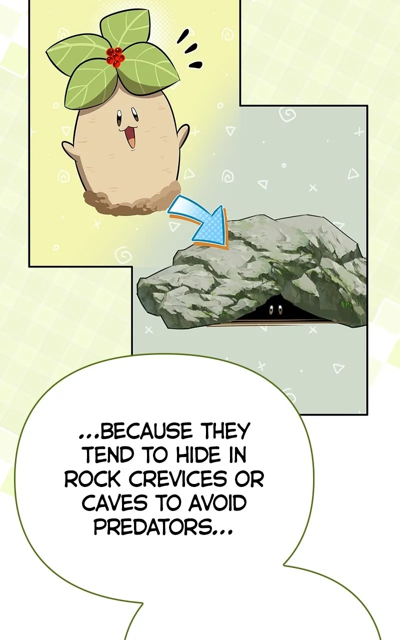 The S-Class Hunter’s Peaceful Life with Monsters Chapter 24 page 122 - 