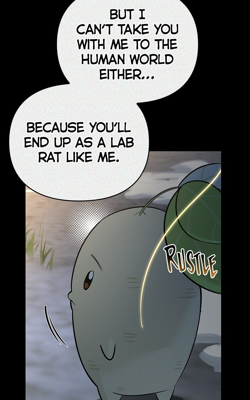 The S-Class Hunter’s Peaceful Life with Monsters Ep. 24 - First Meeting With the Small Root page 101 - 