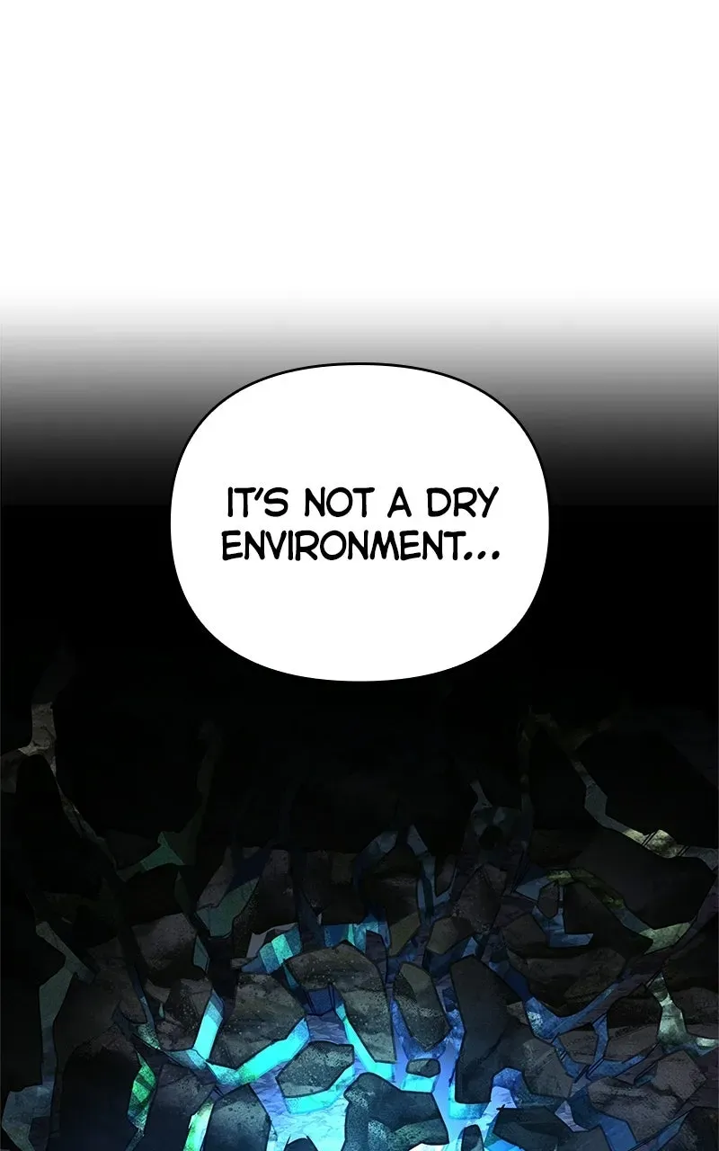 The S-Class Hunter’s Peaceful Life with Monsters Chapter 33 page 62 - 