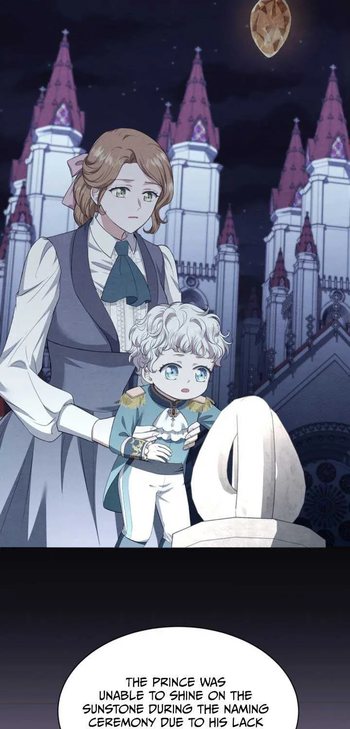 The S-Class Little Princess Is Too Strong Chapter 2 page 11 - 