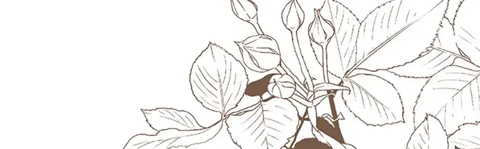 The S-Class Little Princess Is Too Strong Chapter 56 page 101 - 