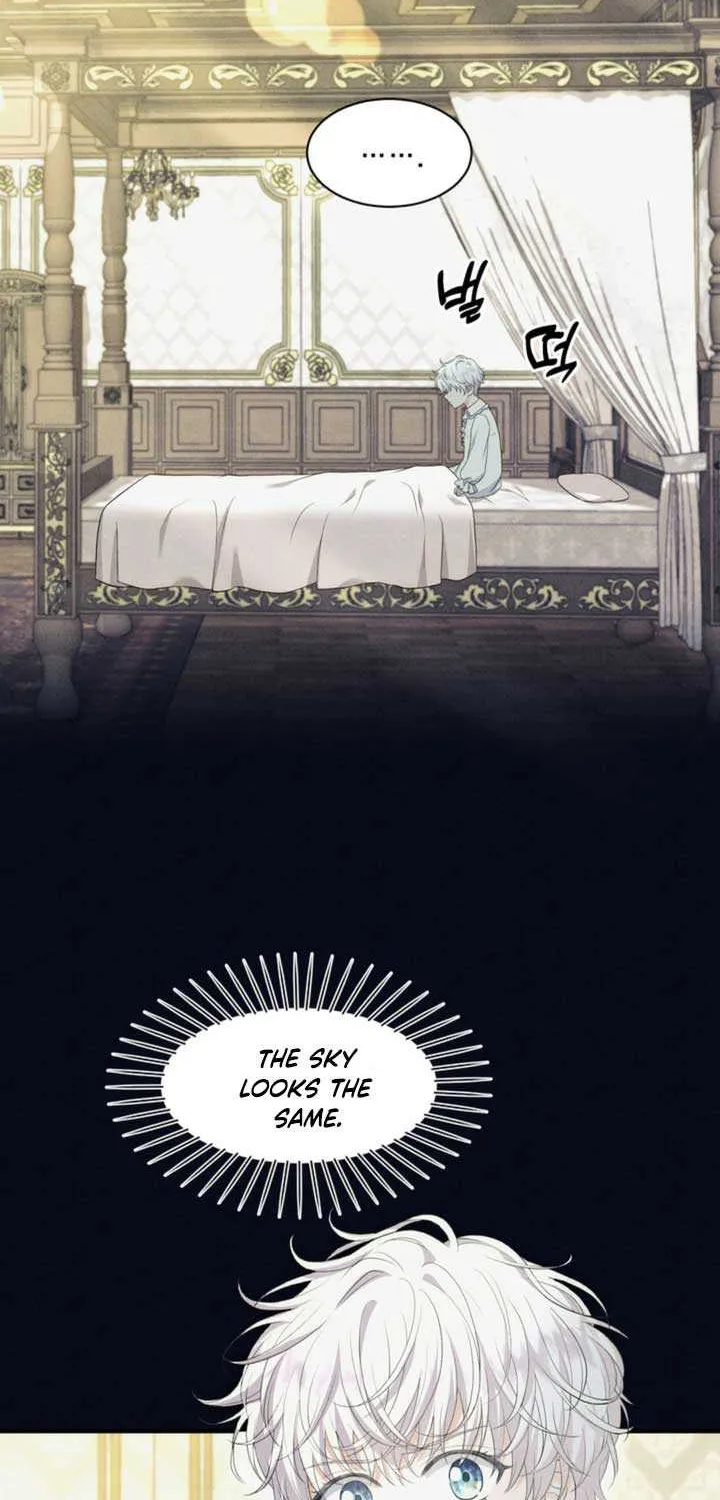The S-Class Little Princess Is Too Strong Chapter 6 page 3 - 