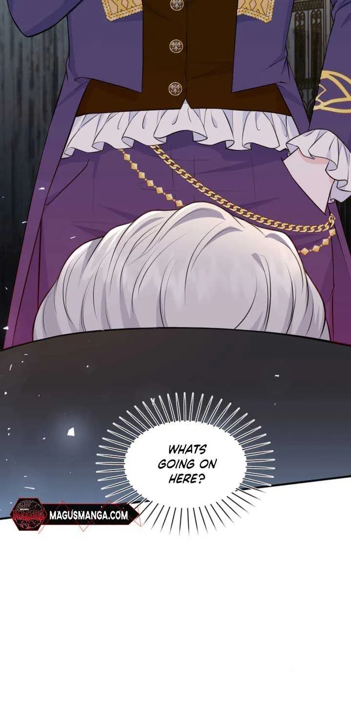 The S-Class Little Princess Is Too Strong Chapter 6 page 47 - 