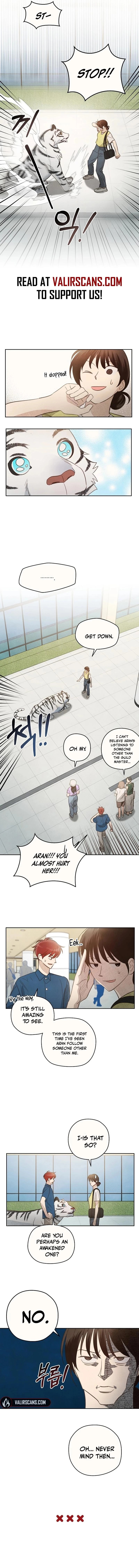 The S-Rank Spiritualist