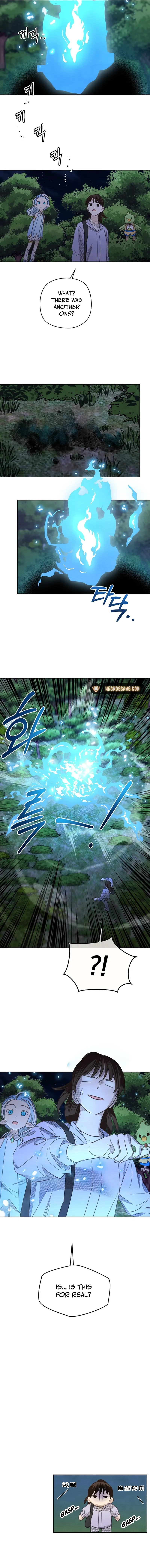 The S-Rank Spiritualist