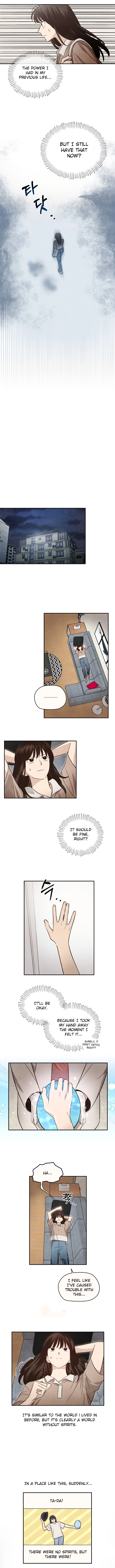 The S-Rank Spiritualist