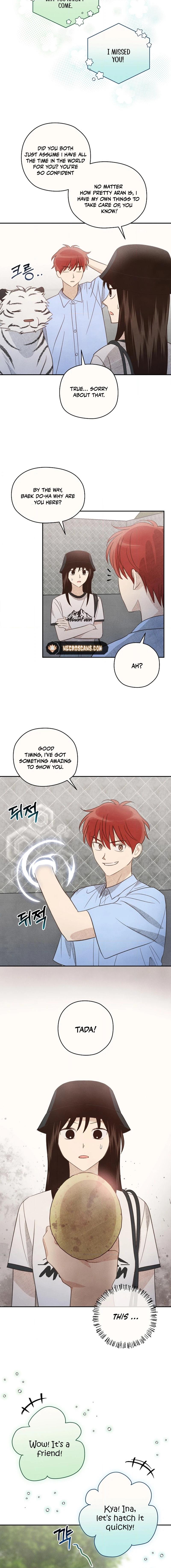 The S-Rank Spiritualist