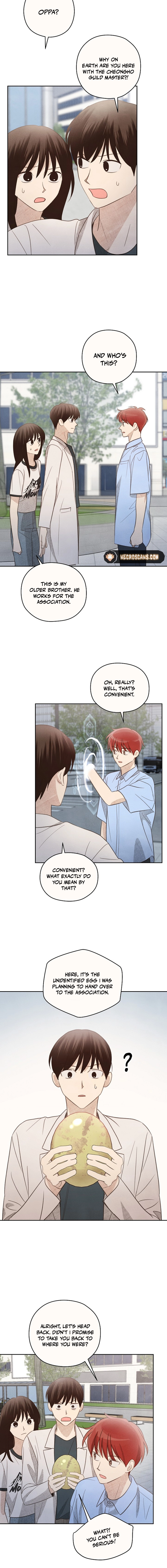 The S-Rank Spiritualist