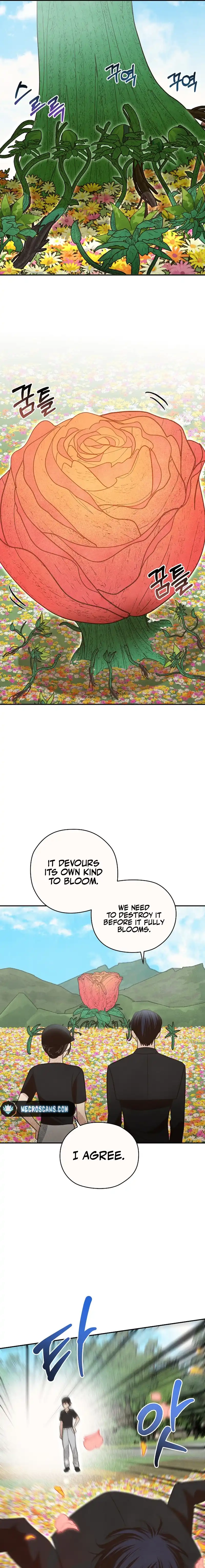 The S-Rank Spiritualist