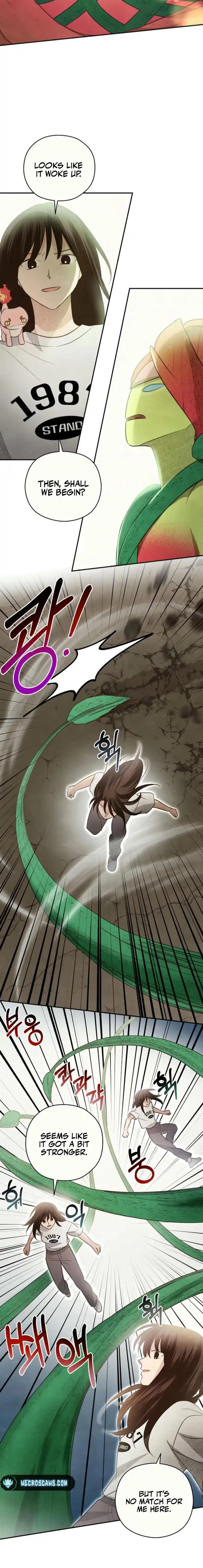The S-Rank Spiritualist