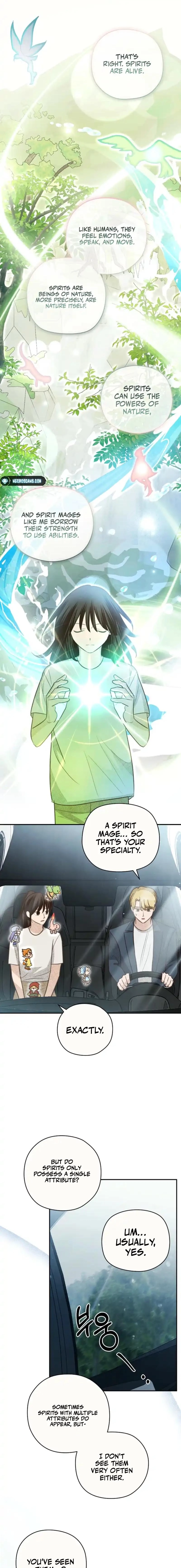 The S-Rank Spiritualist