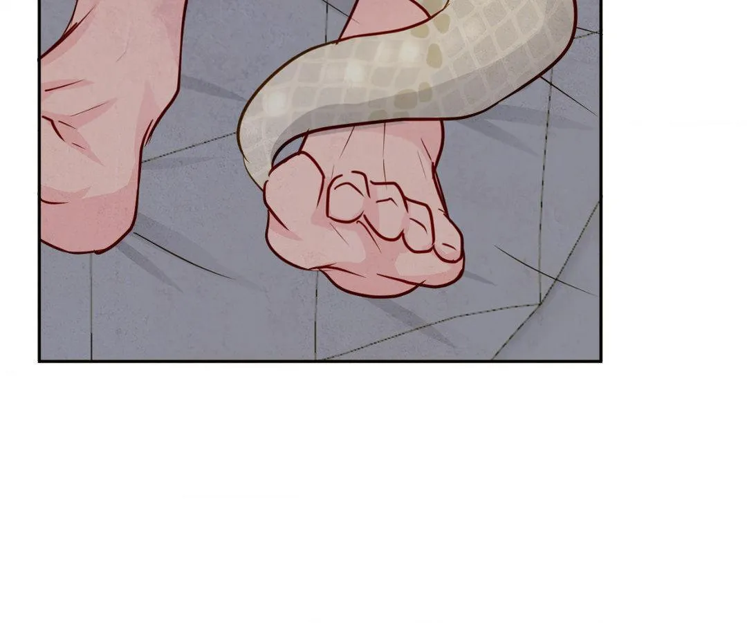 The Sacred Serpent
