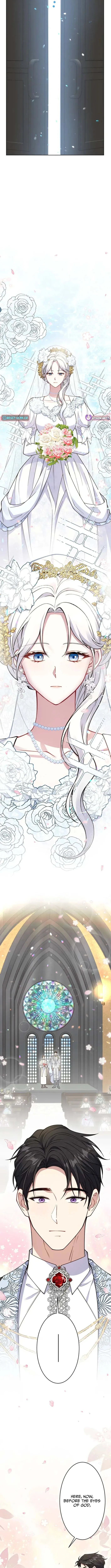 The Saint Bride Sold for 10 Billion to the Enemy Prince Chapter 14 page 5 - 