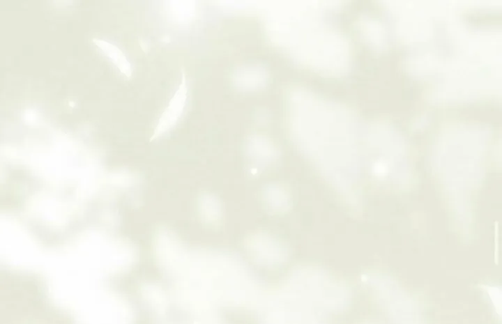 The Saintess And The Curse Chapter 35 page 41 - 